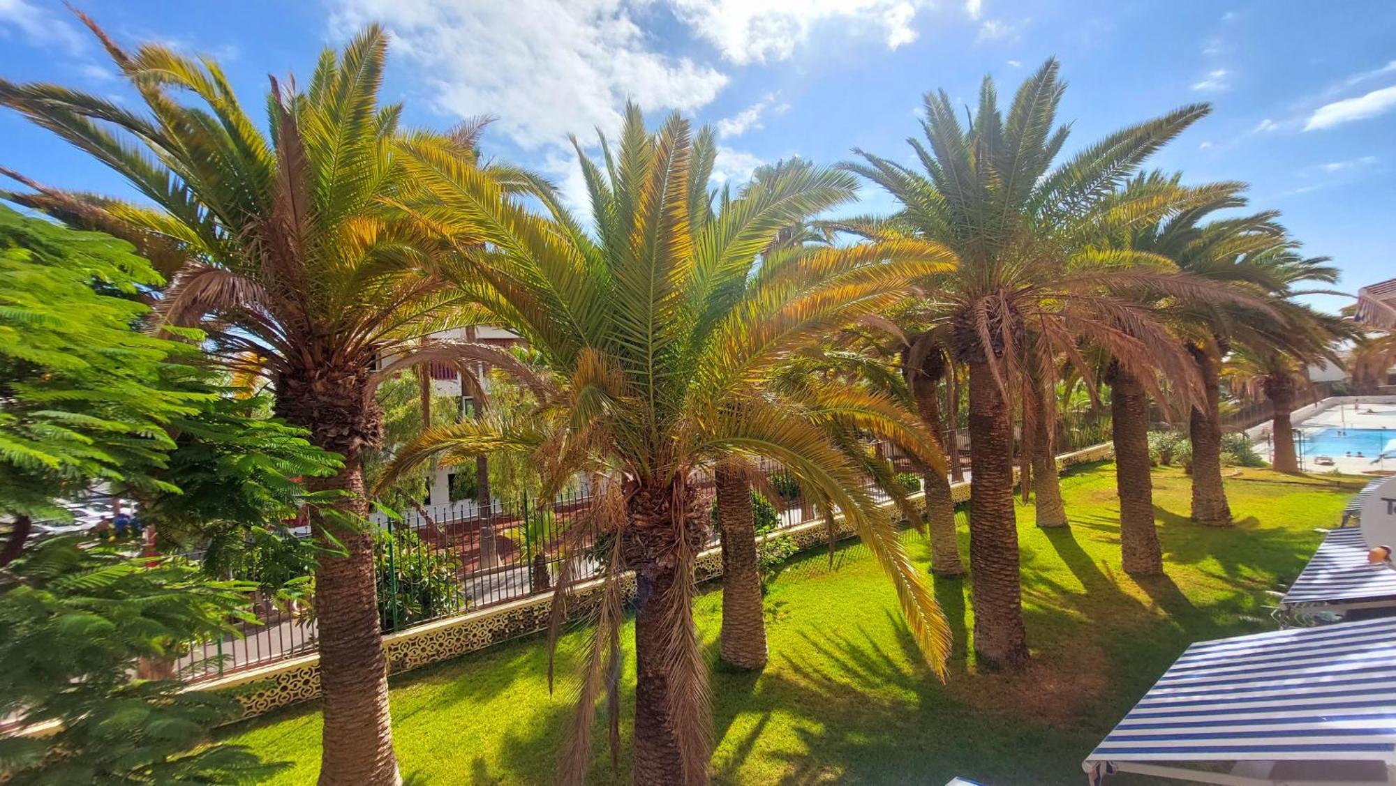 Apartamento Margarita Con Piscina En Playa Honda, Playa Las Americas Арона Экстерьер фото